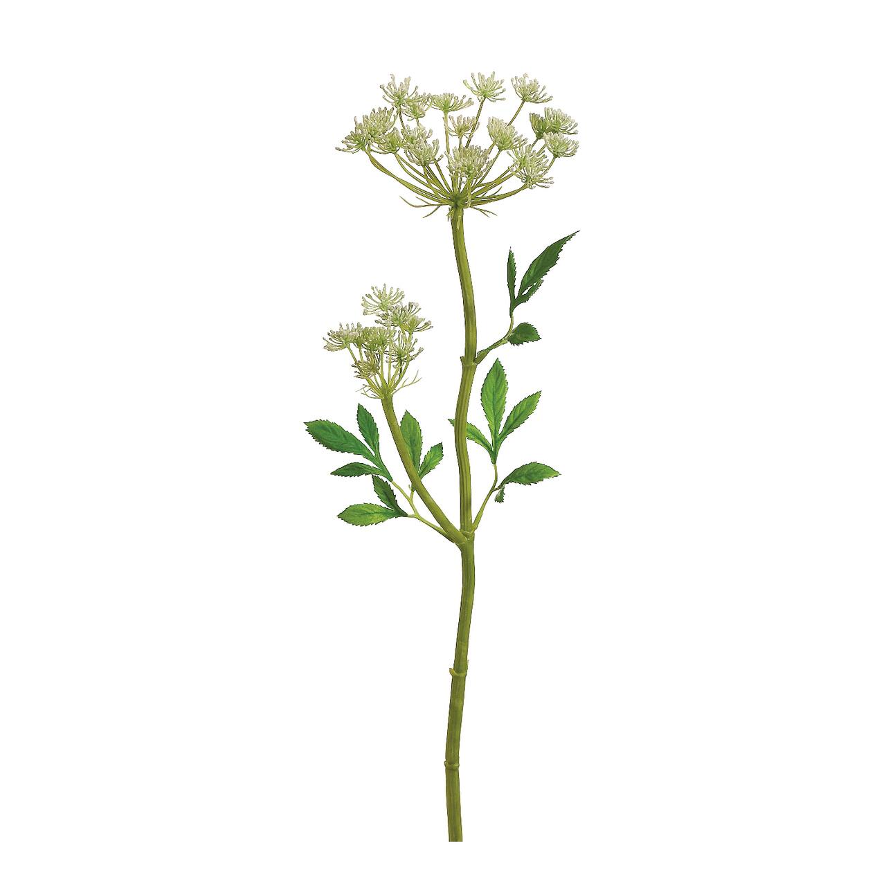 24 Pack: White Queen Anne&#x27;s Lace Spray